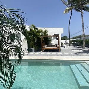 Movida Aruba , Palm Beach Aruba